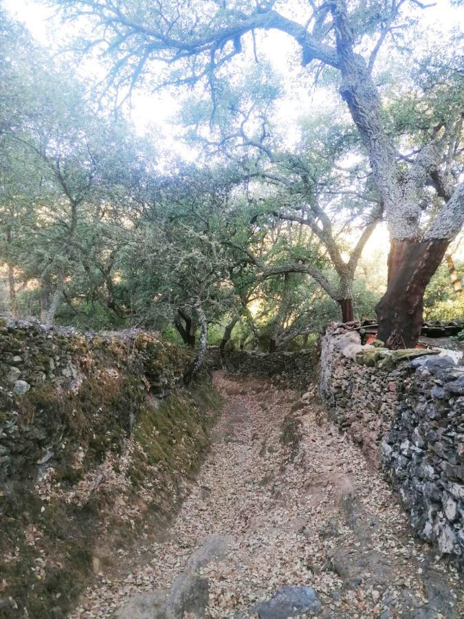 Casa Rural El Olivo 阿拉色那 外观 照片