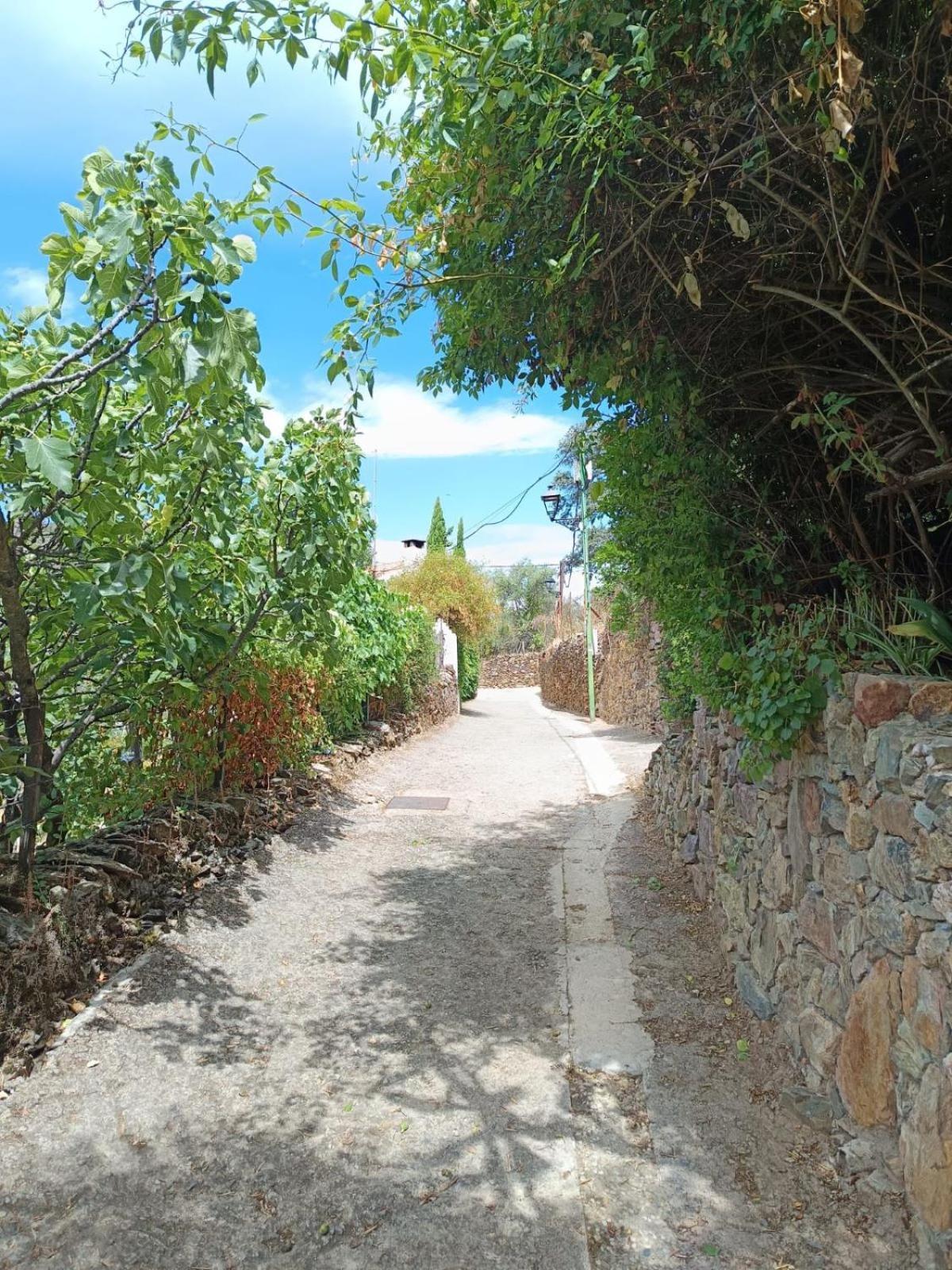 Casa Rural El Olivo 阿拉色那 外观 照片