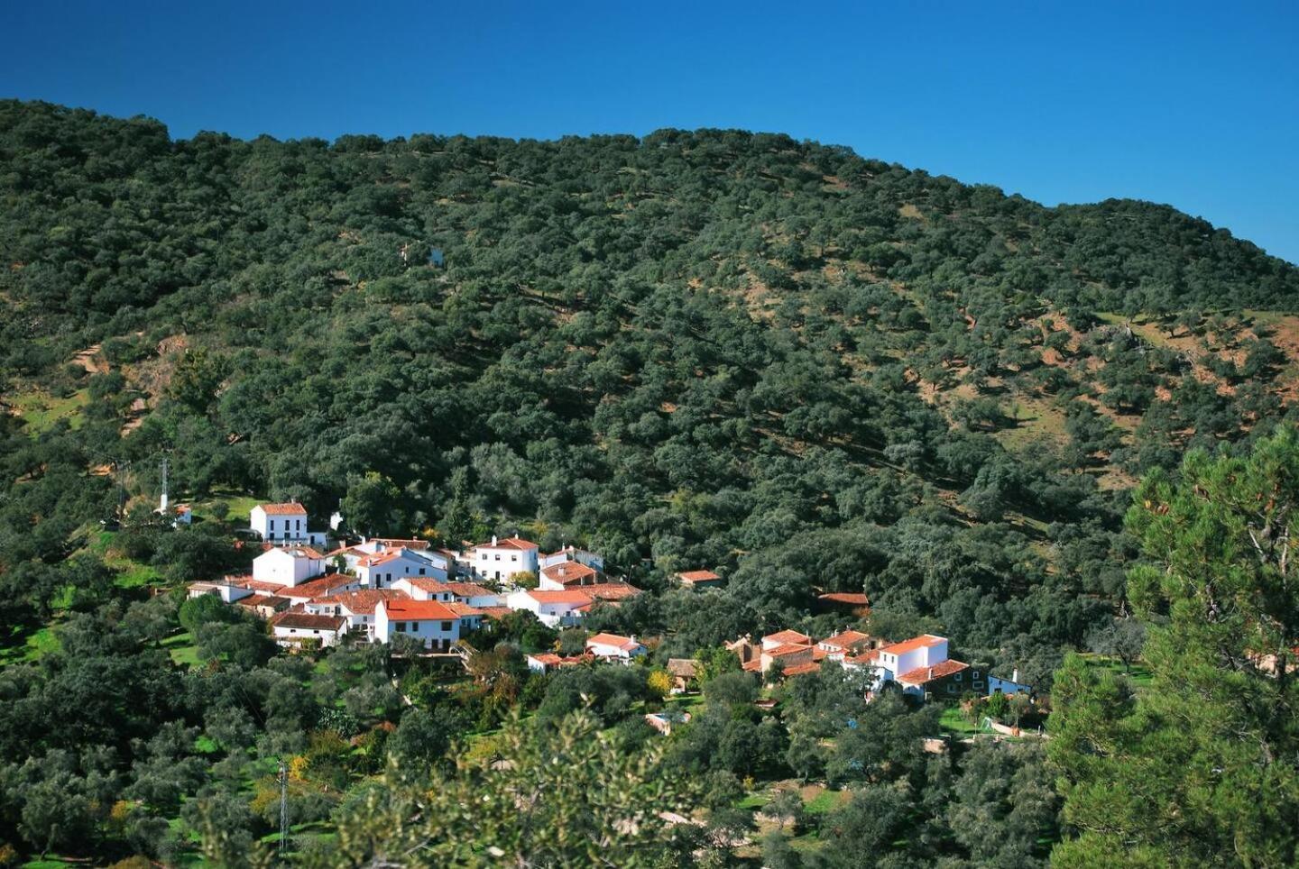 Casa Rural El Olivo 阿拉色那 外观 照片